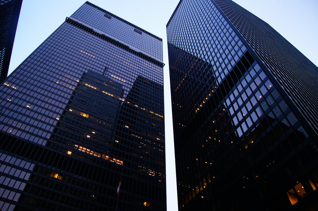 The Power of Networking in Business Growth